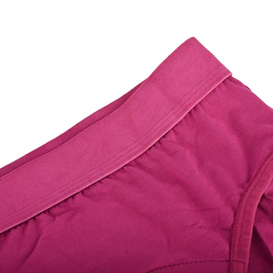 Bamboo Fabric Period Panty 5 Layer Protection | Soft & Odor-Free | Pack of 2