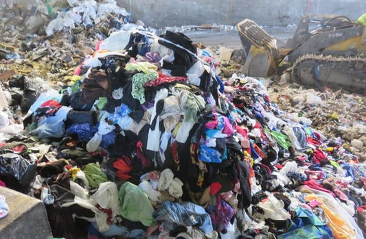 The Invisible Threat: How Microplastics and Synthetic Fibers Pollute Water and Soil, Harming Living Beings on Earth