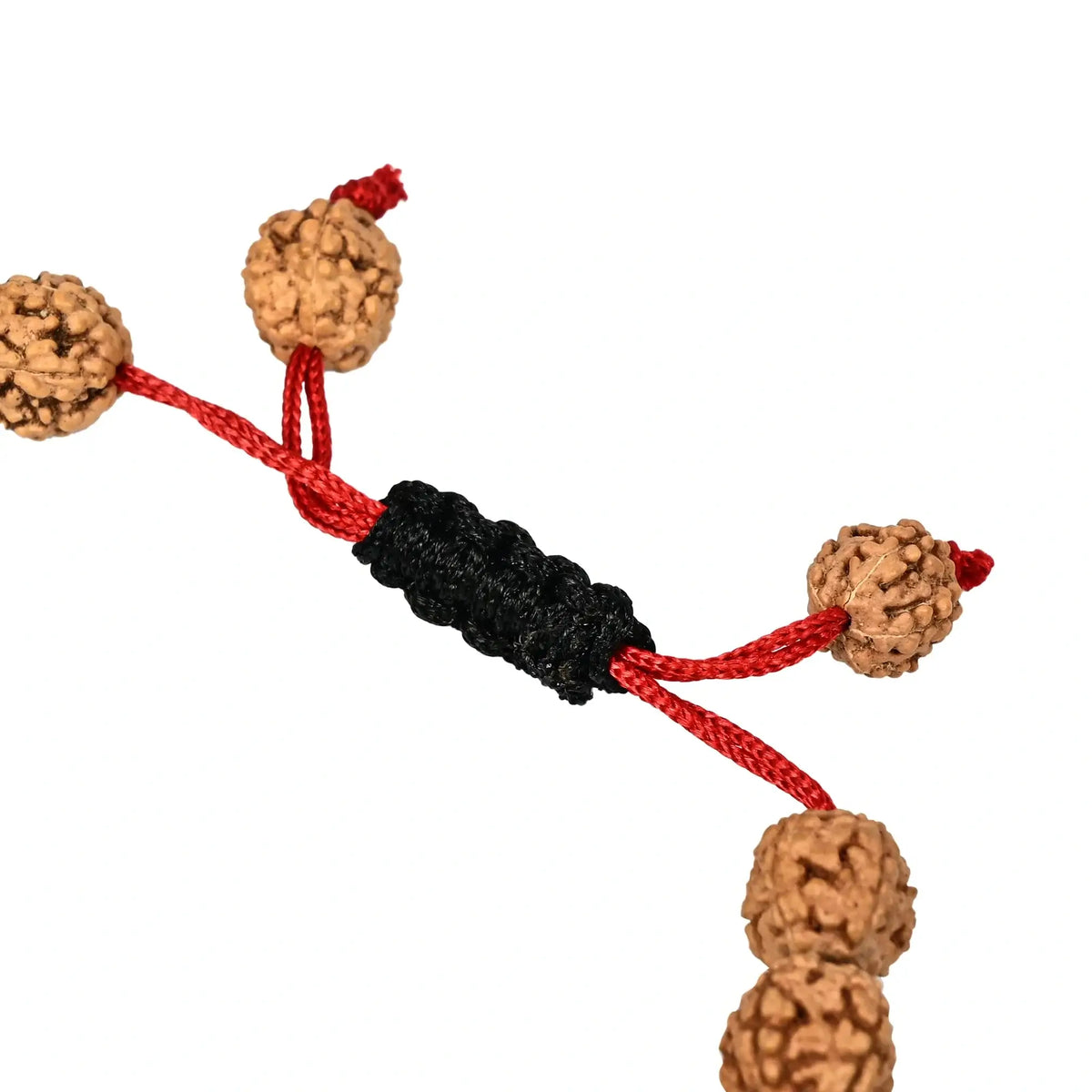 Close-up of Authentic 5 Mukhi Rudraksha Bracelet showcasing natural Rudraksha beads and vibrant red cord.